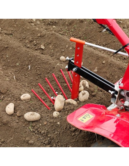 Arranca patatas numero 1