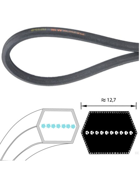 Correa Hexagonal AA108