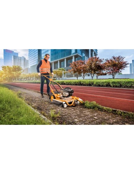 AS motor AS 50 WeedHex - Desherbadora