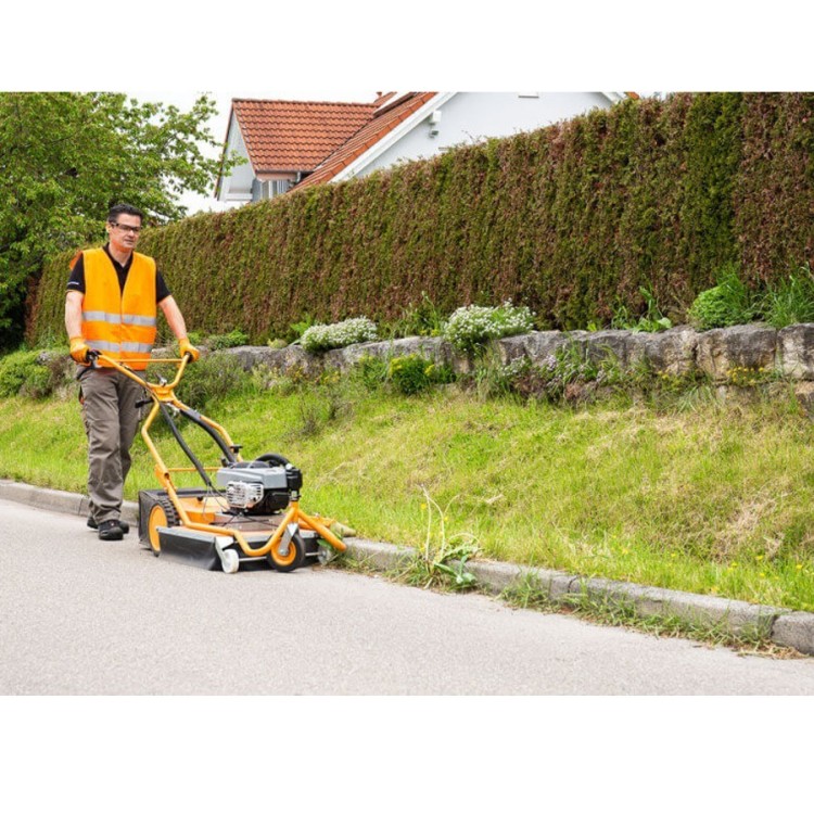 AS motor AS 50 WeedHex