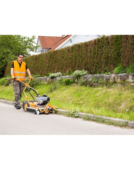 AS motor AS 50 WeedHex