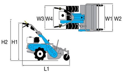 Dimensiones Bertolini